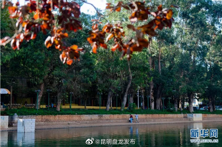 “昆明盘龙发布”微博