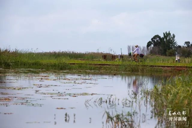 昆明发布(微信)