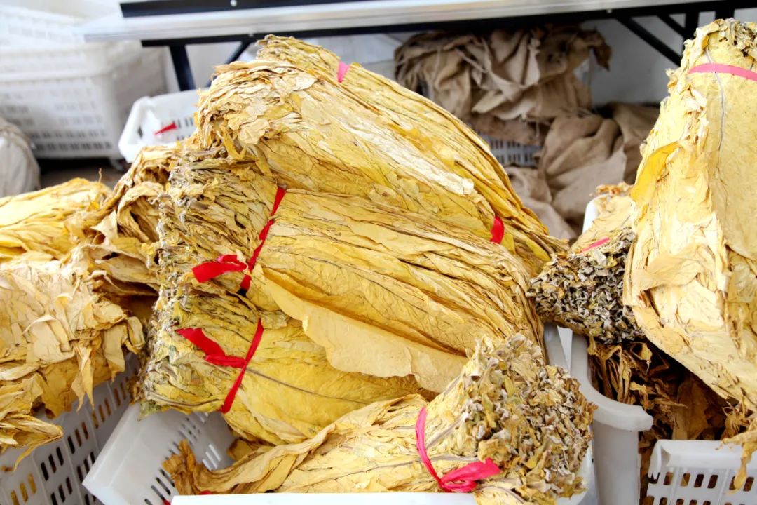 丽江日报(微信)