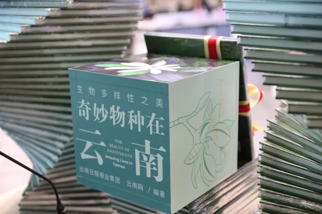 云南法制报(微信)