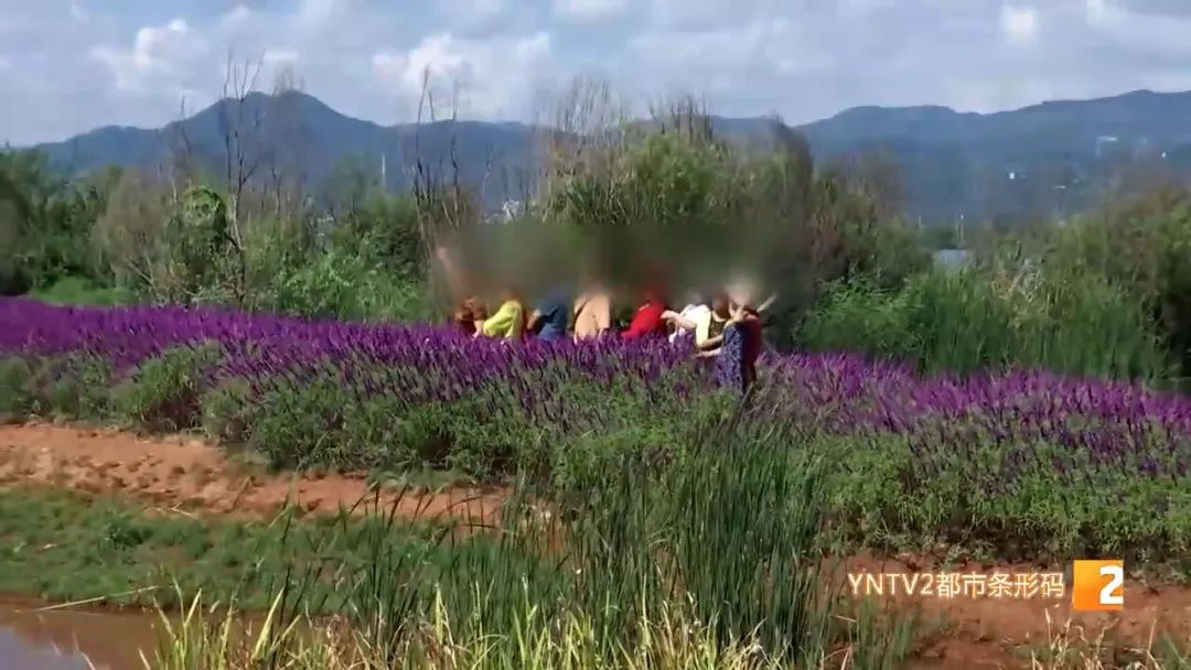 昆明信息港(微信)