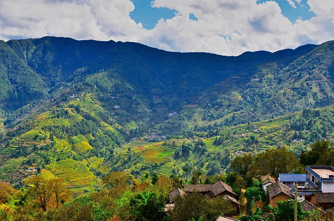 保山新闻网(微信)