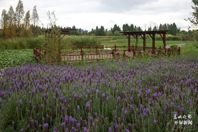 昆明发布(微信)