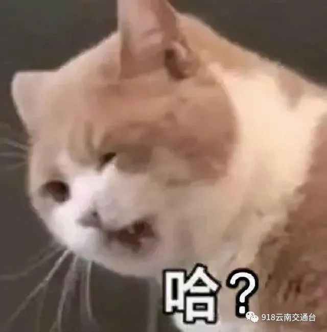 918云南交通台(微信)