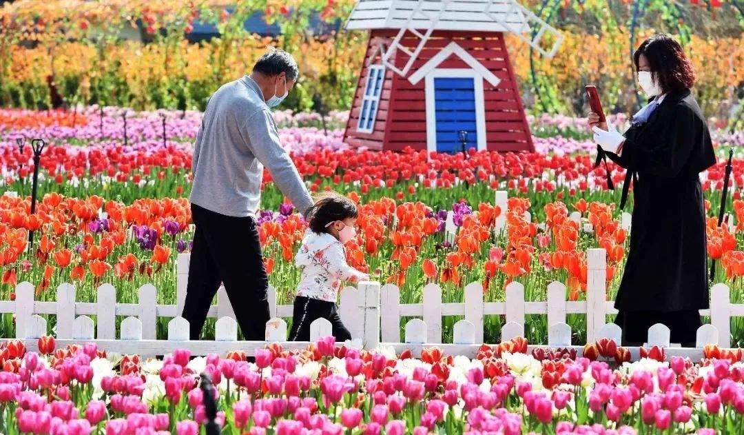 昆明发布(微信)