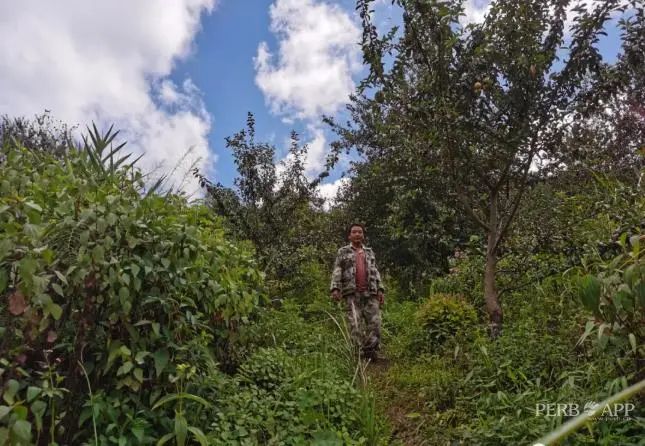 普洱日报(微信)