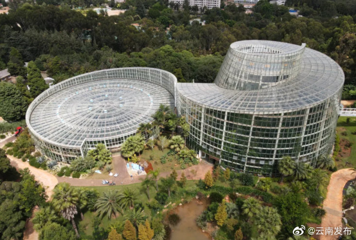 “云南发布”微博