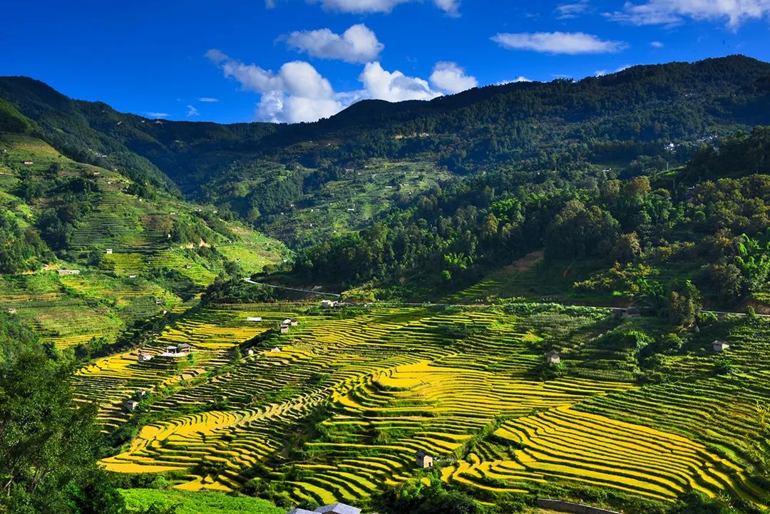 保山新闻网(微信)