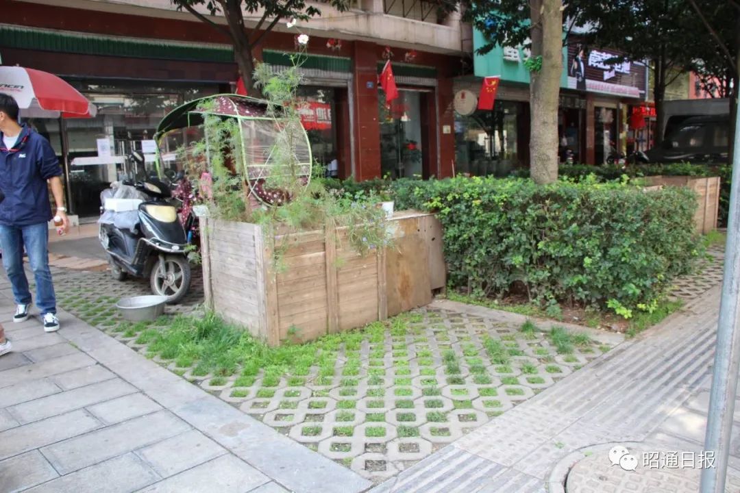 昭通日报(微信)