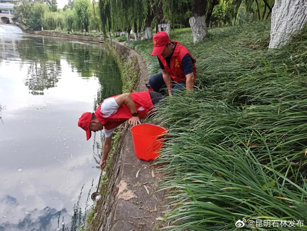 “昆明石林发布”微博