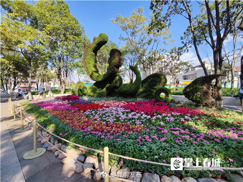 “昆明发布”微博