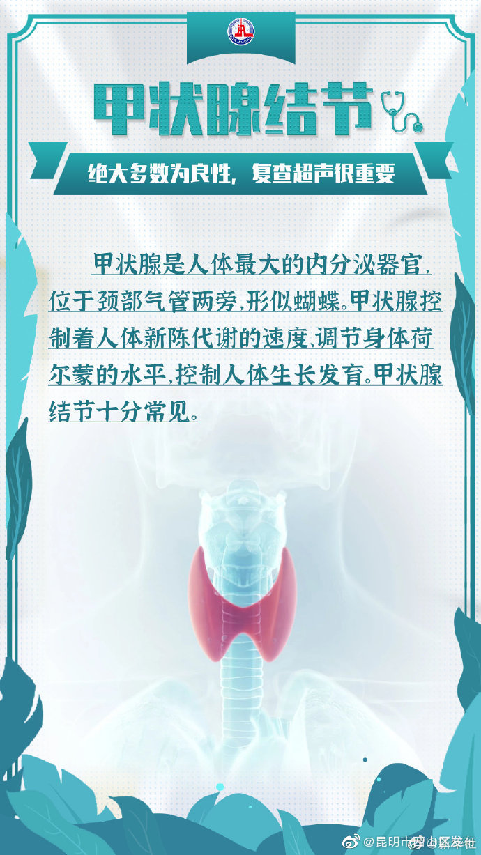 “昆明市西山区发布”微博