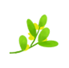 云南法制报(微信)