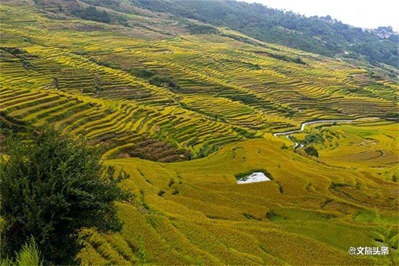 红河文旅(微信)