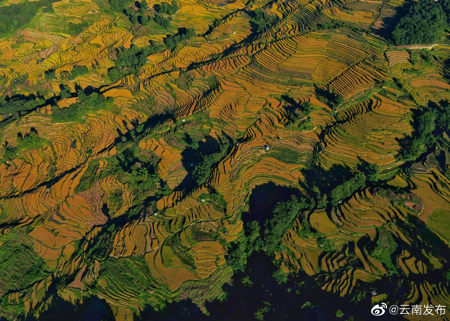 “云南发布”微博