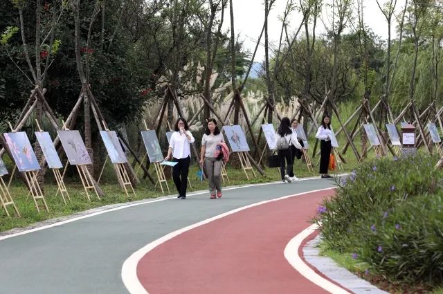 春城晚报(微信)