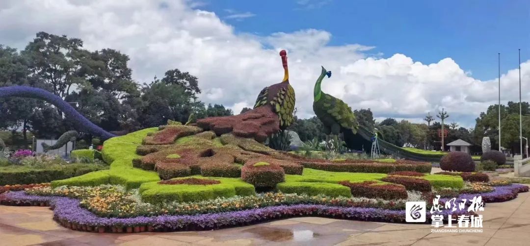 掌上春城(微信)