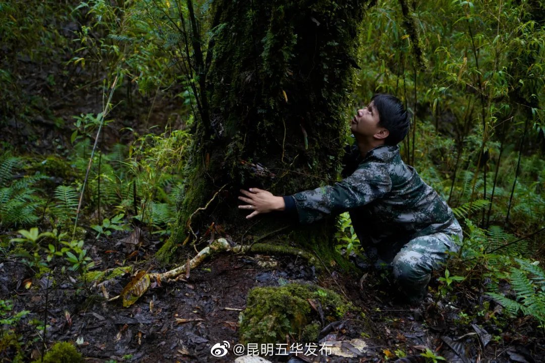 “昆明五华发布”微博