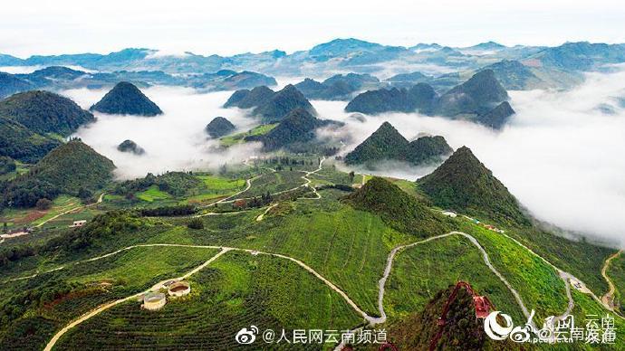 “云南发布”微博