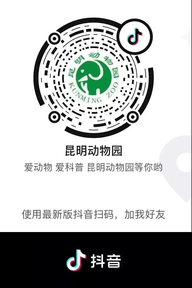 昆明动物园