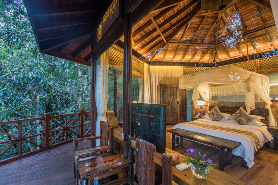 春城晚报(微信)