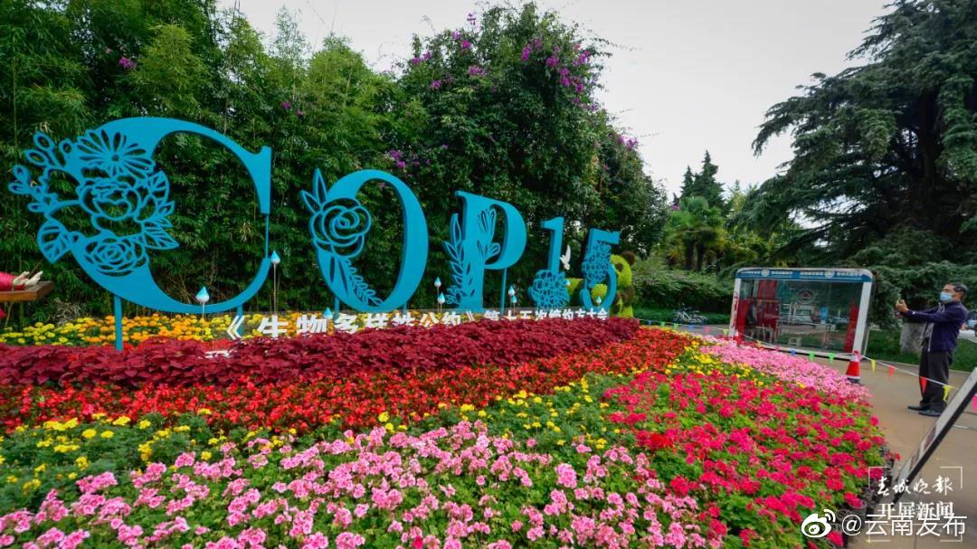 “云南发布”微博