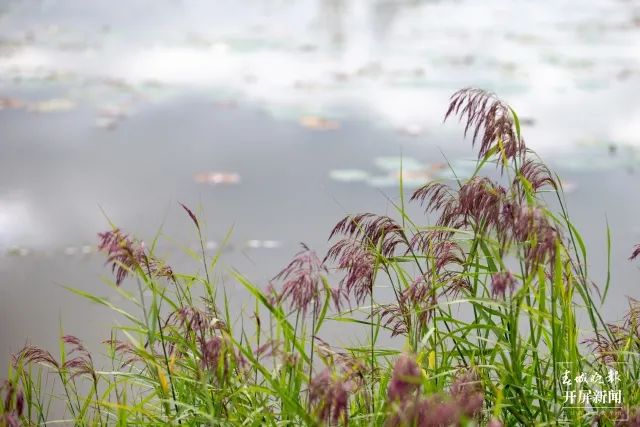 昆明发布(微信)