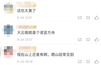 昆明信息港(微信)