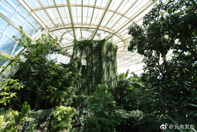 “云南发布”微博