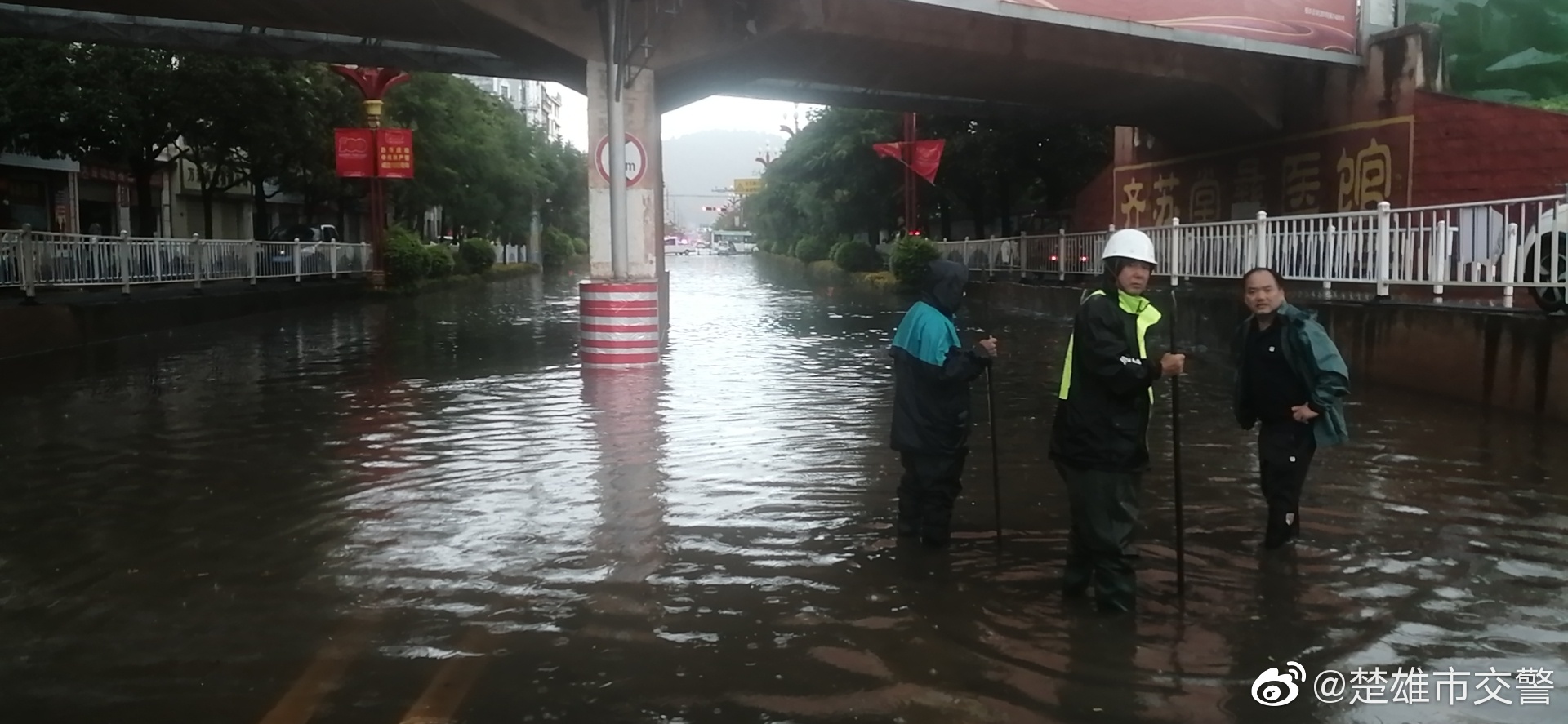 楚雄市交警微博