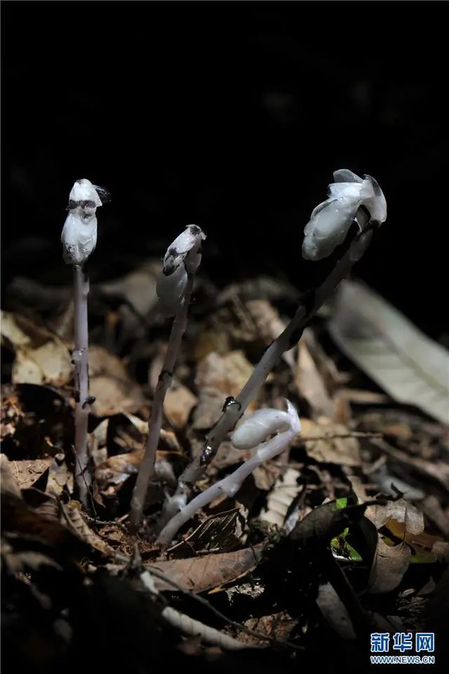 昆明信息港(微信)