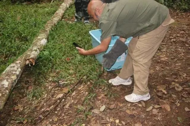 云南政法(微信)