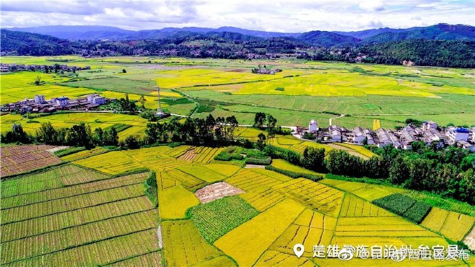 “昆明市西山区发布”微博