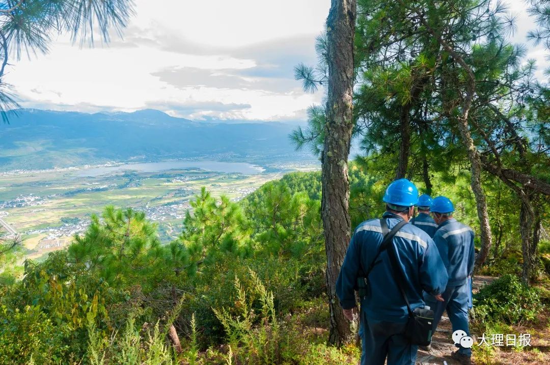 大理日报(微信)