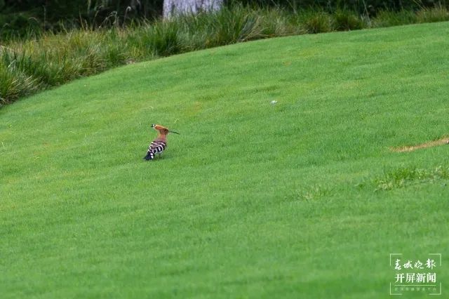 昆明发布(微信)