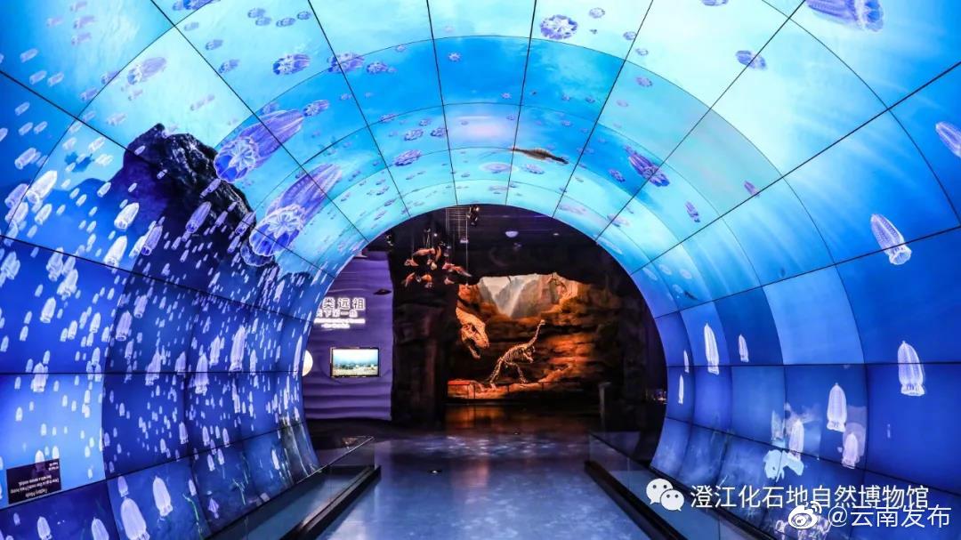 “云南发布”微博