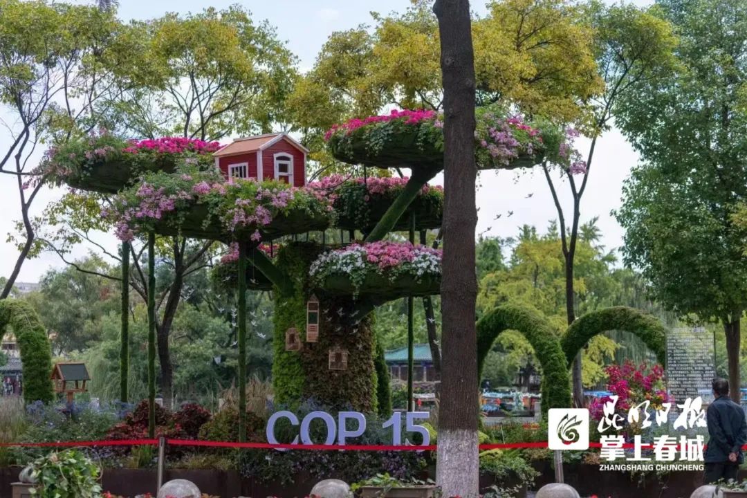 掌上春城(微信)