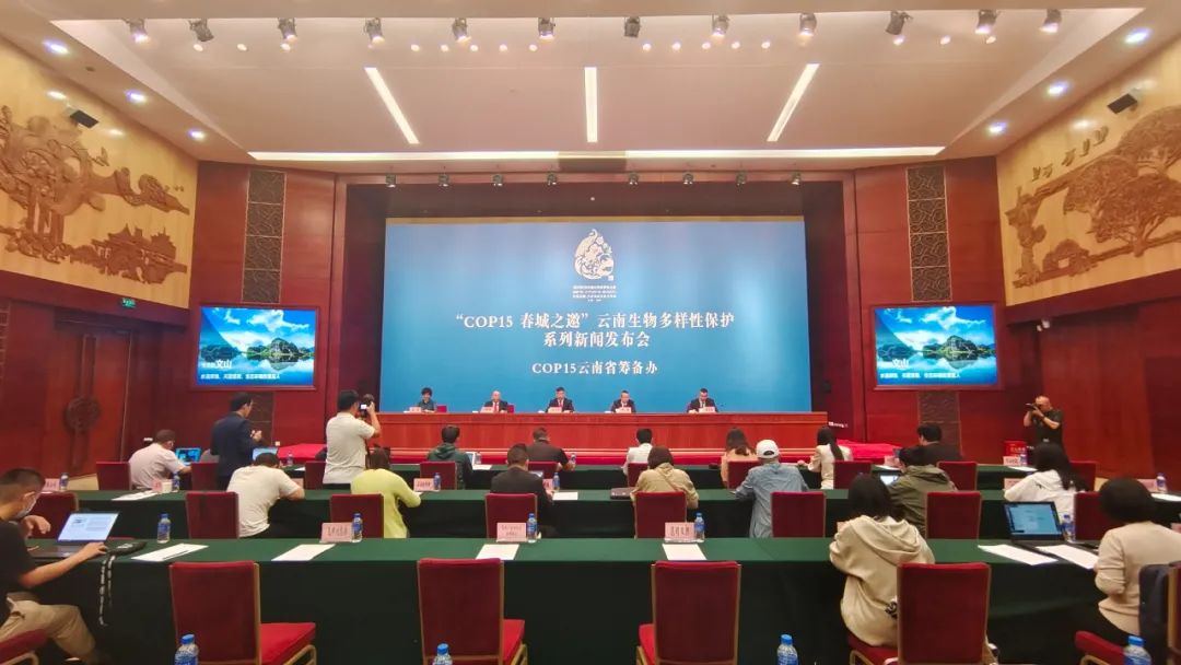 红河文旅(微信)