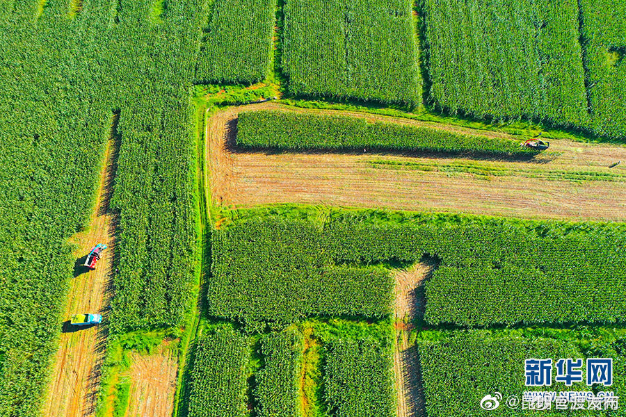 “昆明官渡发布”微博
