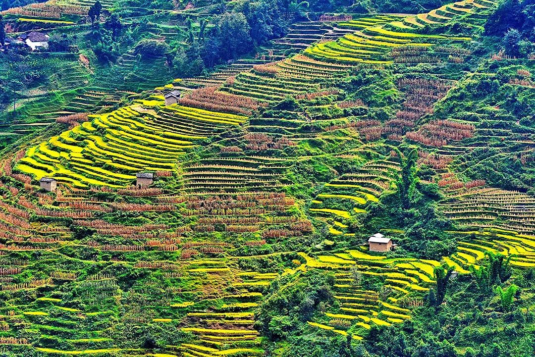 保山新闻网(微信)