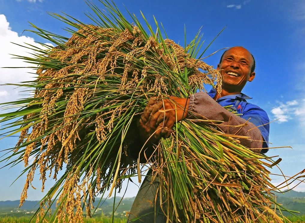 云南省人民政府网