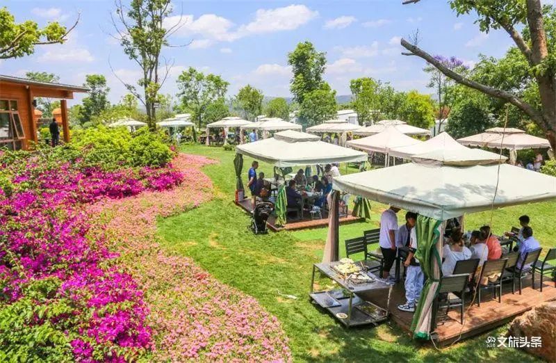 红河文旅(微信)