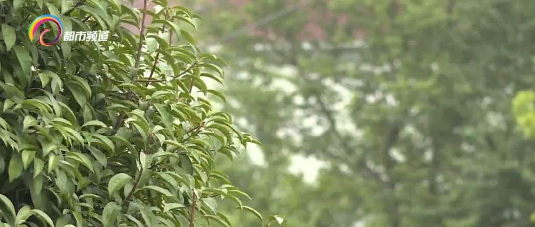 昆明信息港(微信)