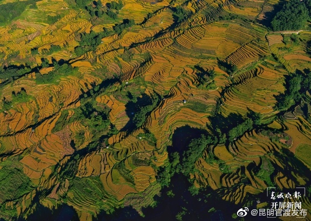 “昆明官渡发布”微博