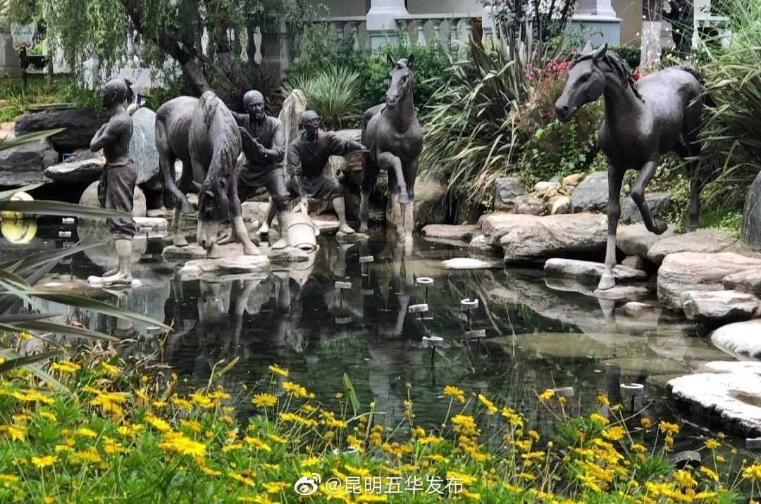 “昆明五华发布”微博