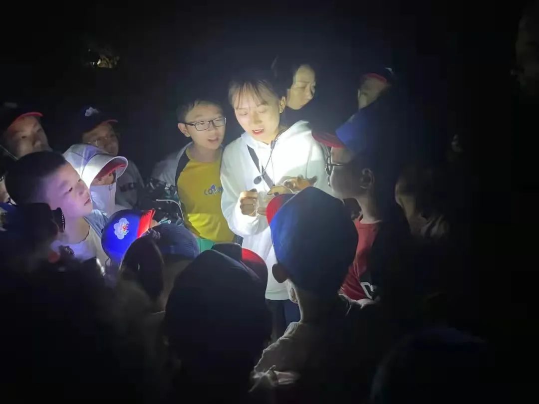 春城晚报(微信)