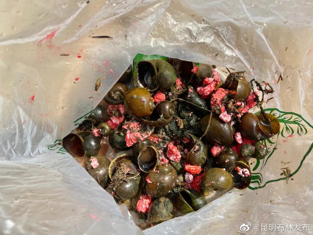 “昆明石林发布”微博