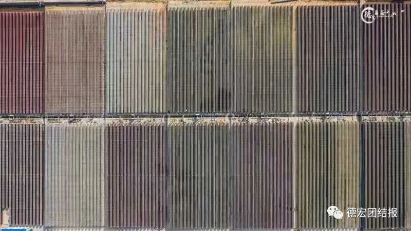 德宏团结报(微信)