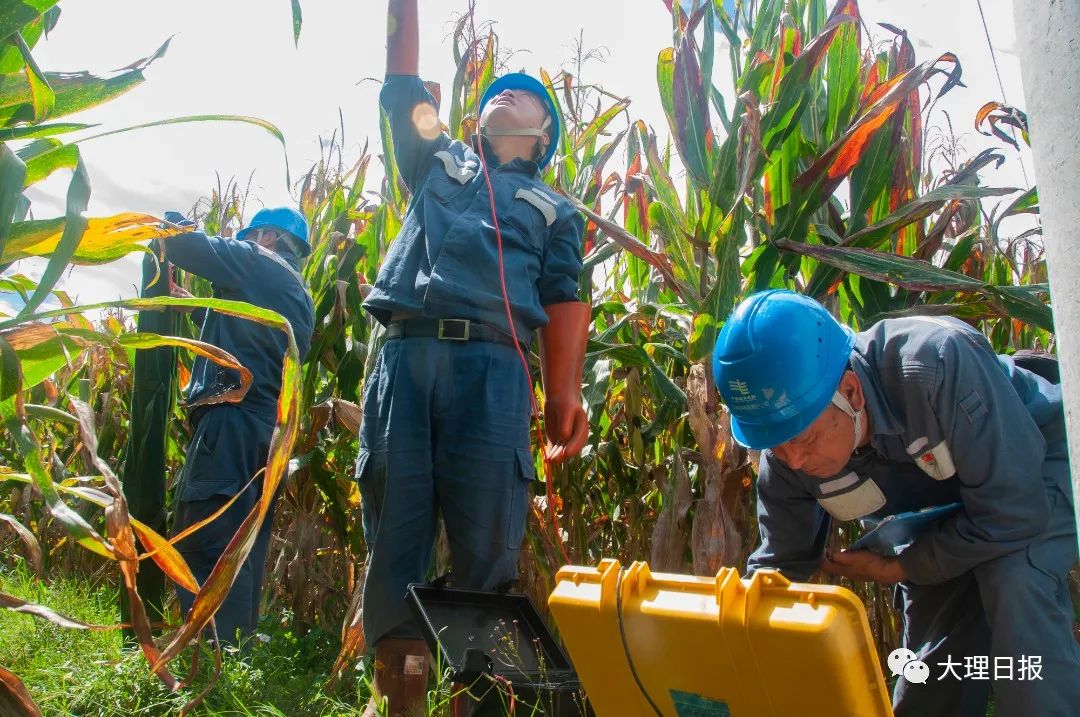 大理日报(微信)