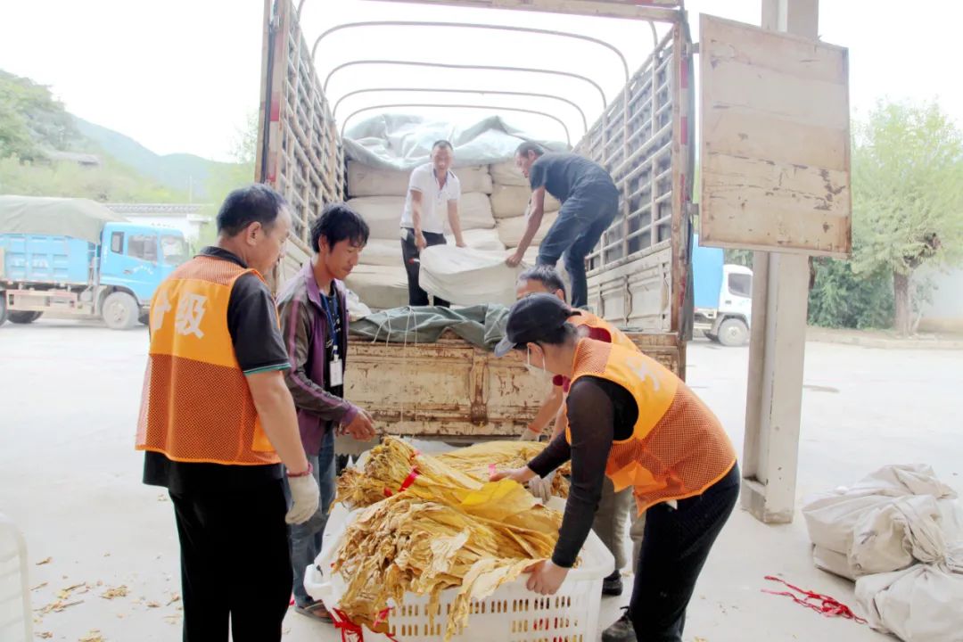 丽江日报(微信)